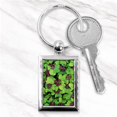 Luck Klee Lucky Clover Vierblattrig Key Chains (rectangle)  by Celenk