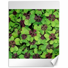 Luck Klee Lucky Clover Vierblattrig Canvas 12  X 16   by Celenk