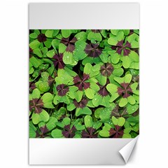 Luck Klee Lucky Clover Vierblattrig Canvas 12  X 18   by Celenk