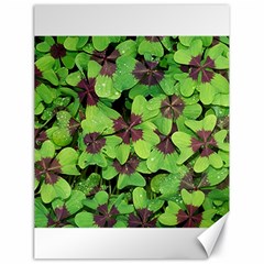 Luck Klee Lucky Clover Vierblattrig Canvas 18  X 24   by Celenk