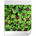 Luck Klee Lucky Clover Vierblattrig Canvas 18  x 24   17.8 x23.08  Canvas - 1