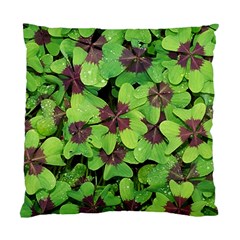 Luck Klee Lucky Clover Vierblattrig Standard Cushion Case (one Side) by Celenk