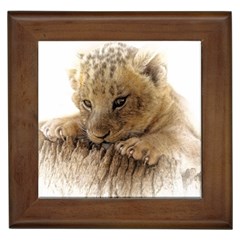 Lion Cub Close Cute Eyes Lookout Framed Tiles by Celenk