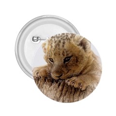 Lion Cub Close Cute Eyes Lookout 2 25  Buttons by Celenk