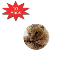 Lion Cub Close Cute Eyes Lookout 1  Mini Buttons (10 Pack)  by Celenk