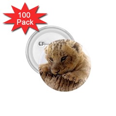 Lion Cub Close Cute Eyes Lookout 1 75  Buttons (100 Pack)  by Celenk