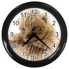 Lion Cub Close Cute Eyes Lookout Wall Clocks (black) by Celenk