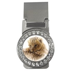 Lion Cub Close Cute Eyes Lookout Money Clips (cz)  by Celenk