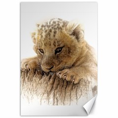 Lion Cub Close Cute Eyes Lookout Canvas 20  X 30   by Celenk