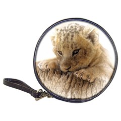 Lion Cub Close Cute Eyes Lookout Classic 20-cd Wallets by Celenk