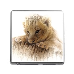 Lion Cub Close Cute Eyes Lookout Memory Card Reader (square) by Celenk