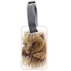 Lion Cub Close Cute Eyes Lookout Luggage Tags (two Sides) by Celenk