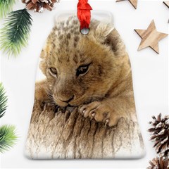 Lion Cub Close Cute Eyes Lookout Ornament (bell) by Celenk