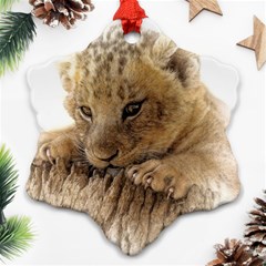 Lion Cub Close Cute Eyes Lookout Snowflake Ornament (two Sides) by Celenk