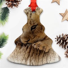 Lion Cub Close Cute Eyes Lookout Christmas Tree Ornament (two Sides) by Celenk