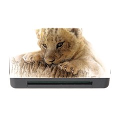 Lion Cub Close Cute Eyes Lookout Memory Card Reader With Cf by Celenk