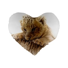 Lion Cub Close Cute Eyes Lookout Standard 16  Premium Heart Shape Cushions by Celenk