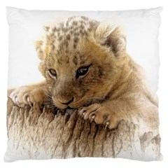 Lion Cub Close Cute Eyes Lookout Standard Flano Cushion Case (two Sides) by Celenk