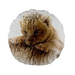 Lion Cub Close Cute Eyes Lookout Standard 15  Premium Flano Round Cushions by Celenk