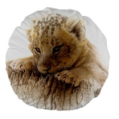 Lion Cub Close Cute Eyes Lookout Large 18  Premium Flano Round Cushions by Celenk