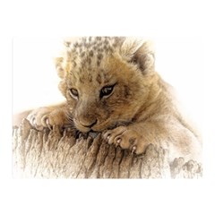 Lion Cub Close Cute Eyes Lookout Double Sided Flano Blanket (mini)  by Celenk