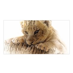 Lion Cub Close Cute Eyes Lookout Satin Shawl by Celenk