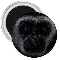 Gibbon Wildlife Indonesia Mammal 3  Magnets by Celenk