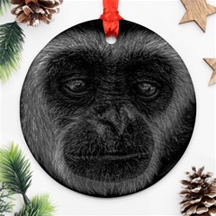 Gibbon Wildlife Indonesia Mammal Ornament (round) by Celenk