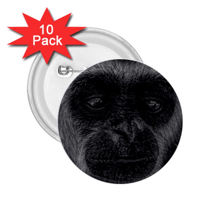 Gibbon Wildlife Indonesia Mammal 2.25  Buttons (10 pack) 