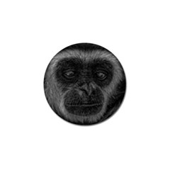 Gibbon Wildlife Indonesia Mammal Golf Ball Marker by Celenk