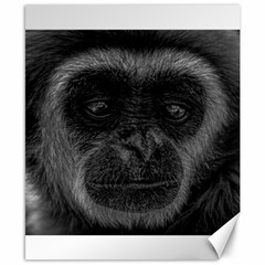 Gibbon Wildlife Indonesia Mammal Canvas 8  X 10  by Celenk