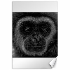 Gibbon Wildlife Indonesia Mammal Canvas 24  X 36  by Celenk