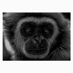 Gibbon Wildlife Indonesia Mammal Large Glasses Cloth by Celenk