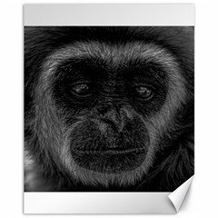 Gibbon Wildlife Indonesia Mammal Canvas 11  X 14   by Celenk