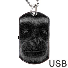 Gibbon Wildlife Indonesia Mammal Dog Tag Usb Flash (one Side) by Celenk