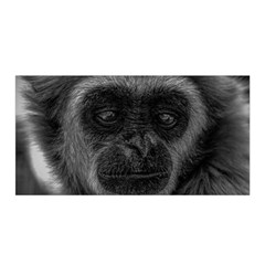 Gibbon Wildlife Indonesia Mammal Satin Wrap by Celenk