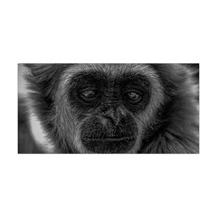 Gibbon Wildlife Indonesia Mammal Yoga Headband by Celenk