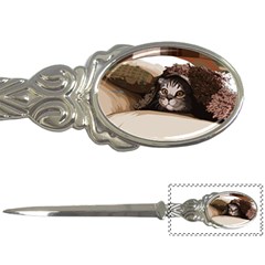 Cat Kitten Cute Pet Blanket Sweet Letter Openers by Celenk