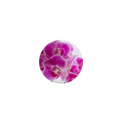 Orchid Phaleonopsis Art Plant 1  Mini Buttons by Celenk