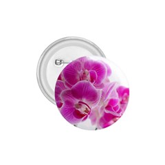 Orchid Phaleonopsis Art Plant 1 75  Buttons by Celenk