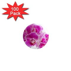 Orchid Phaleonopsis Art Plant 1  Mini Magnets (100 Pack)  by Celenk