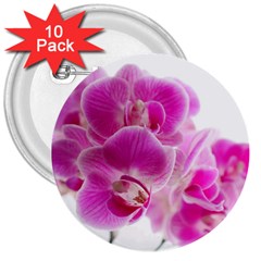 Orchid Phaleonopsis Art Plant 3  Buttons (10 Pack)  by Celenk