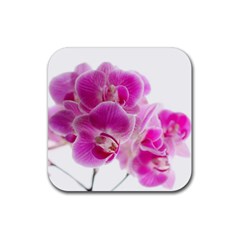 Orchid Phaleonopsis Art Plant Rubber Coaster (square)  by Celenk