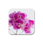 Orchid Phaleonopsis Art Plant Rubber Square Coaster (4 pack)  Front