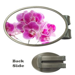 Orchid Phaleonopsis Art Plant Money Clips (oval)  by Celenk