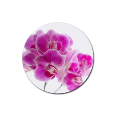 Orchid Phaleonopsis Art Plant Rubber Coaster (round)  by Celenk