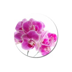 Orchid Phaleonopsis Art Plant Magnet 3  (round) by Celenk