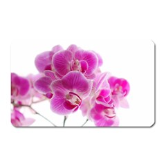 Orchid Phaleonopsis Art Plant Magnet (rectangular) by Celenk