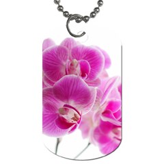 Orchid Phaleonopsis Art Plant Dog Tag (one Side) by Celenk