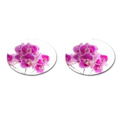 Orchid Phaleonopsis Art Plant Cufflinks (oval) by Celenk